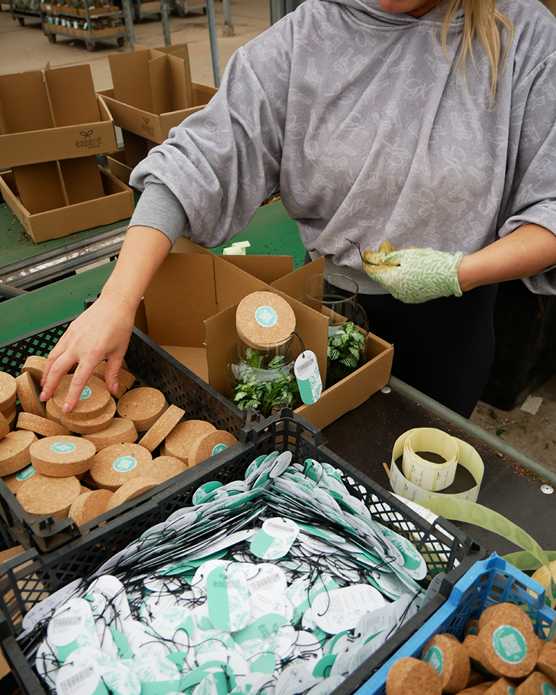 Floral product worker placing moss into glass jars on a flower decoration production line.